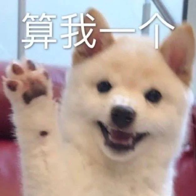 汪星人表情包合集