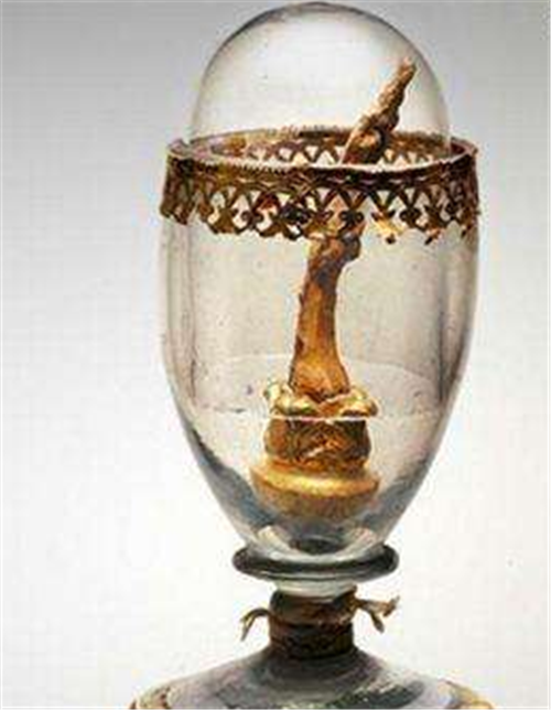 大脑|博物馆保存下来的名人器官：从伽利略的牙齿，到爱迪生最后一口气