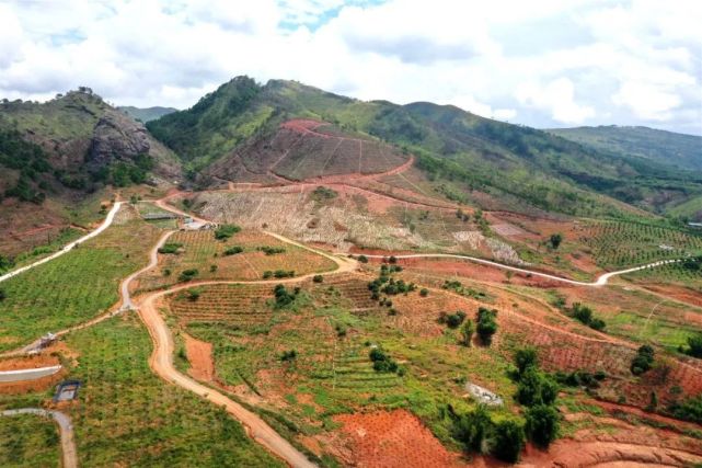 平南这个上千亩的花海公园,正静待你的到来|丹竹镇|花海公园|平南县