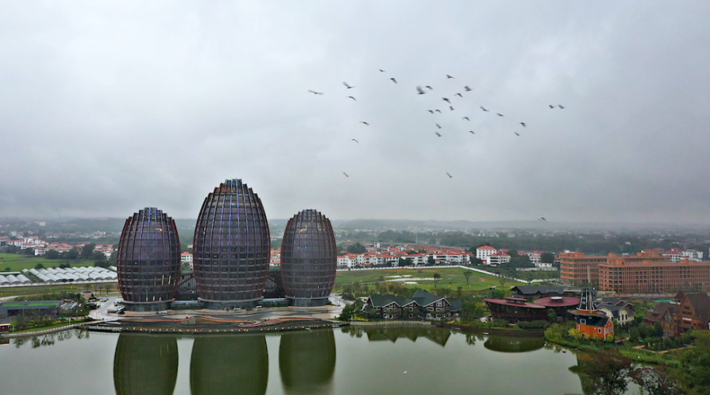 南康家居小镇来了一批"不速之客"