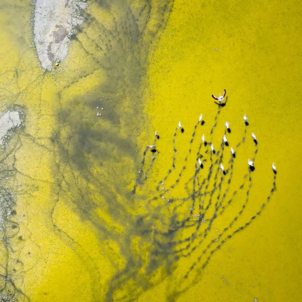 黑洞|卫星“慧眼”识“流”，黑洞双星系统周期“小波动”被发现！