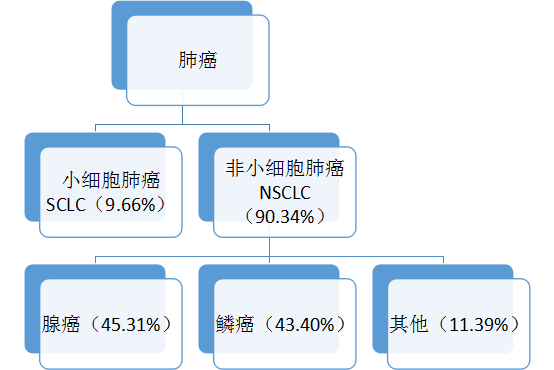 肺癌国内外治疗指南总览序贯靶向治疗是核心免疫联合治疗是新常态