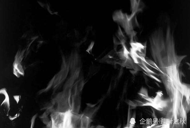 斗破让你去拯救中州这5个超级异火你选哪个选了图4绝对给力