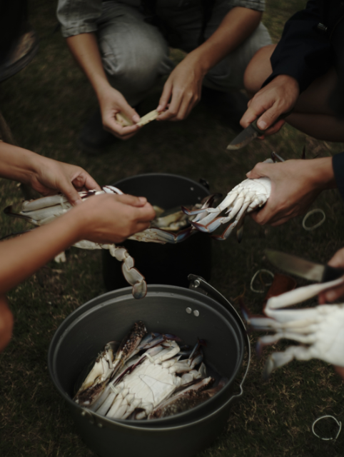 董花花|享受！董花花入秋露营自制海鲜餐 神秘男背影网友怀疑是蒋凡