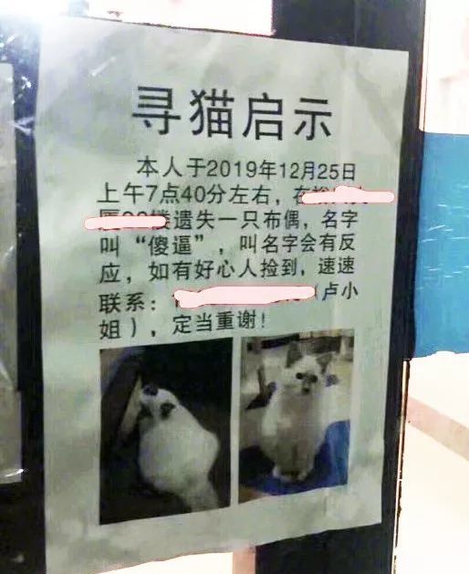 看完铲屎官设计的寻猫启事,猫走得更远了