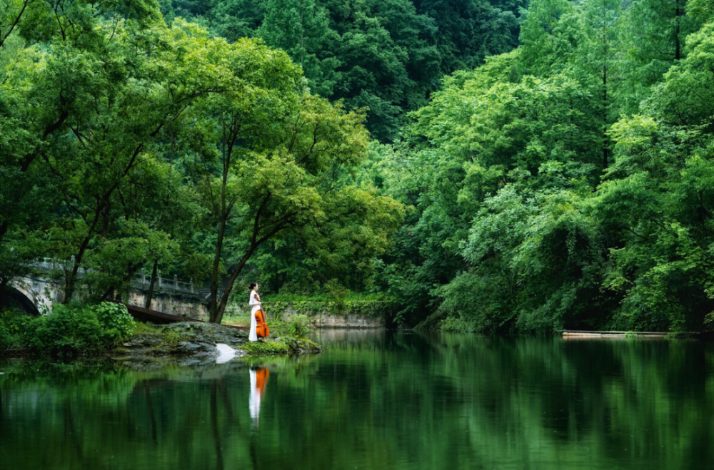 管宁|聪明的人，不合群