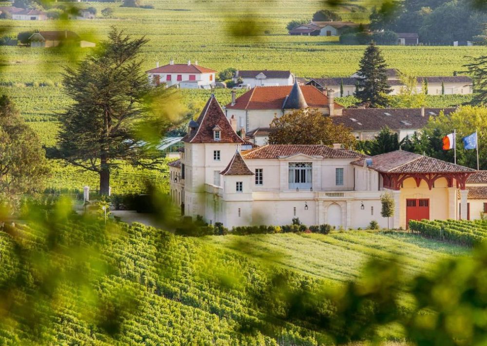 赵薇|四十女人一枝花，赵薇被曝与富二代男子逛超市，转型成功事业红火