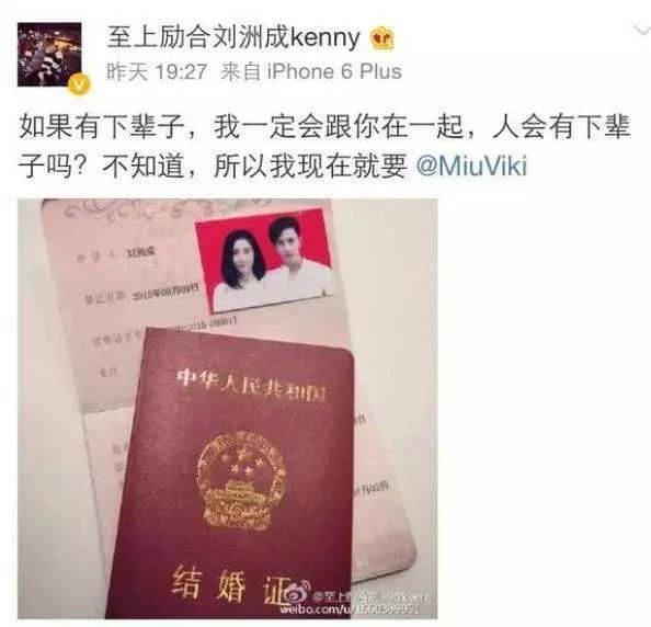 鱼翔|糊咖的快乐你真是想象不到……