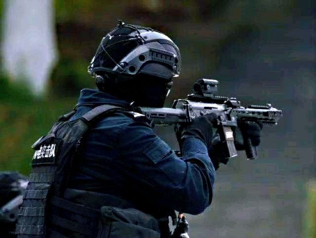 其中最为突出的是香港李嘉豪所设计的名为acp的系列升级方案