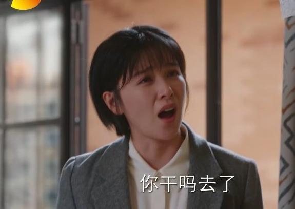 亲爱的自己|《亲爱的自己》：如果刘洋芝芝复婚，那真是对现代婚姻的最大误解