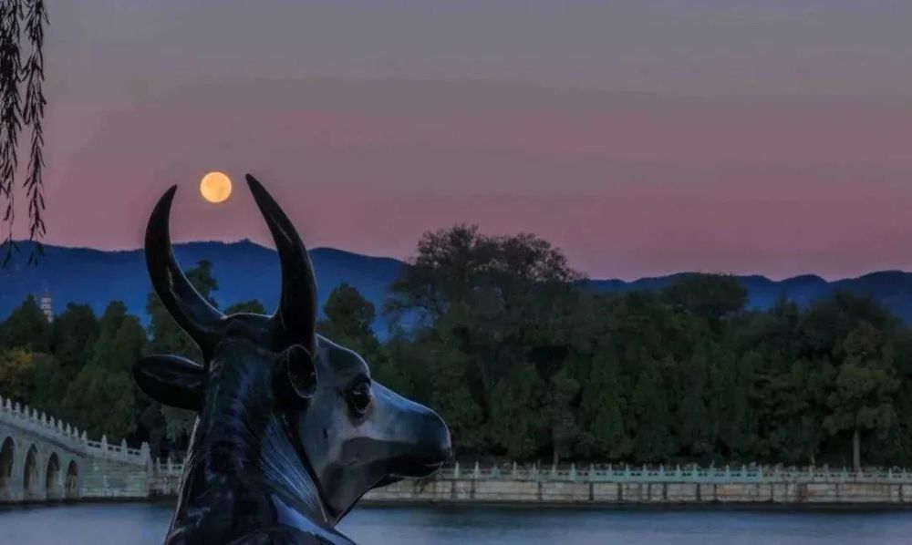 百花山|不出远门！北京这10个赏月佳地，长这么大你去过吗？