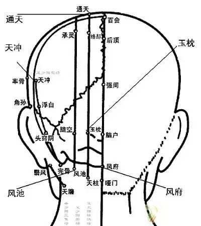 乳痛肩井痔支溝 (1)乳房痛,針刺肩井穴