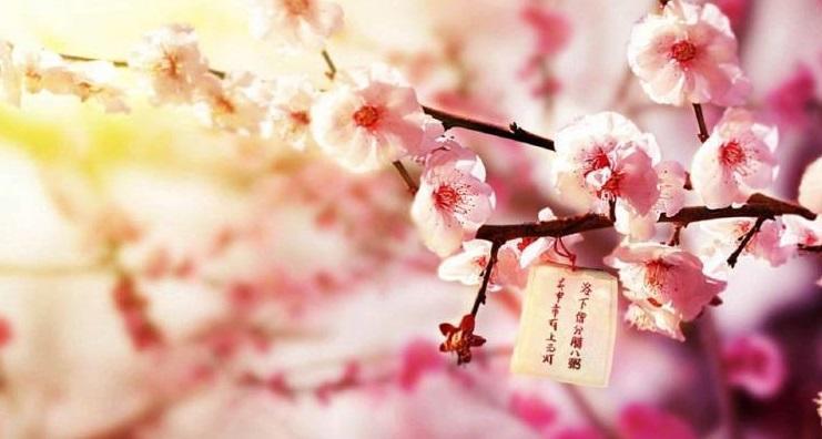 律诗|“海上生明月，天涯共此时”——从张九龄名篇中，我们能学到什么？