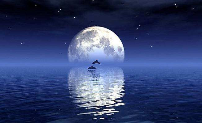 律诗|“海上生明月，天涯共此时”——从张九龄名篇中，我们能学到什么？