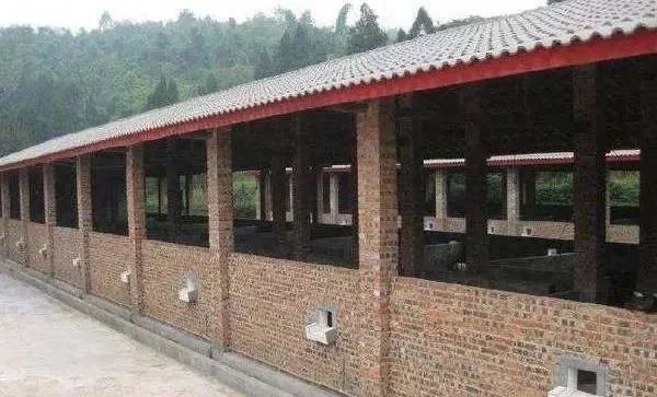 养殖场|史上最严“禁养令”来了？养殖户们朋友要注意了！