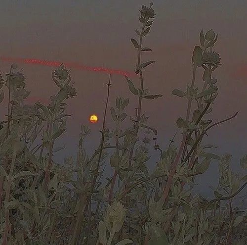 毕节诗刊|毕节诗刊 ll 故土不修，思想不离；沉思，胜似神思