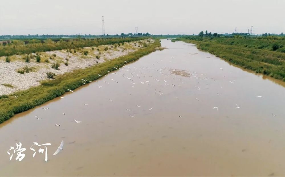 西安|八水绕长安，今安在？