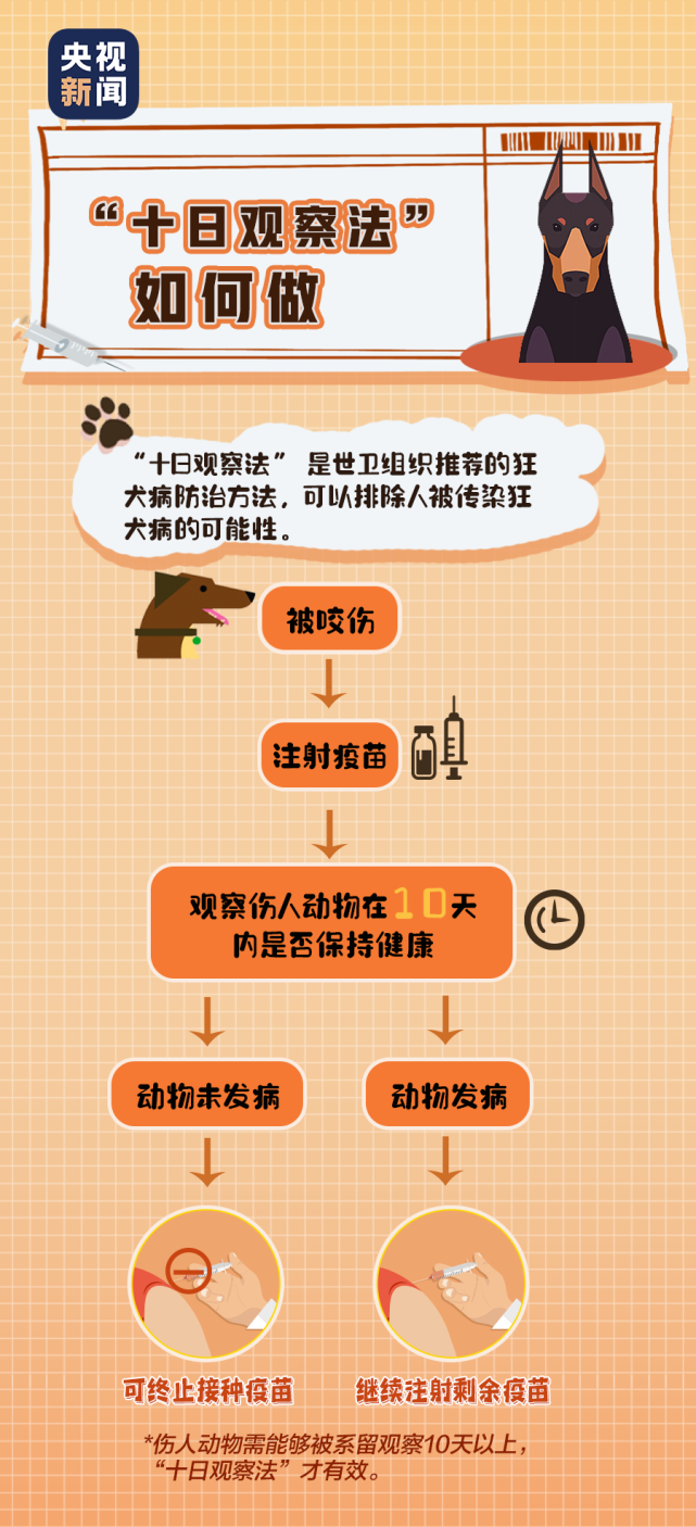 病发死亡率几乎100%!|狂犬病毒|绵阳|林启茂|绵阳市人民医院|狂犬疫苗