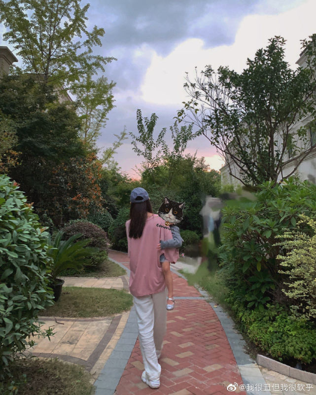 区呢,安安快四岁了,张子萱抱着安安丝毫不费力,纤瘦的背影妈妈力爆棚