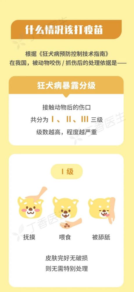 被猫狗抓伤,没出血也该打狂犬疫苗