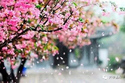 七言绝句|诡神诗话：七绝·夏日午后自嘲，用韵平水韵平声六麻