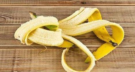 异味|养花：秋季就用它们制作肥料，没有异味！肥效温和且持久！