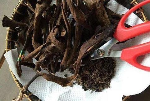 异味|养花：秋季就用它们制作肥料，没有异味！肥效温和且持久！