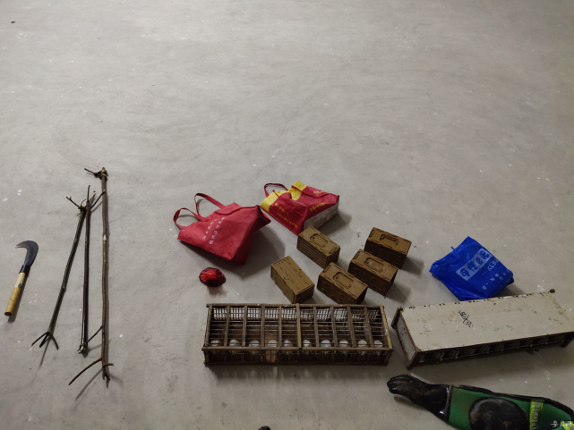 男子泾县会见女友 偷捕5只画眉鸟被刑拘