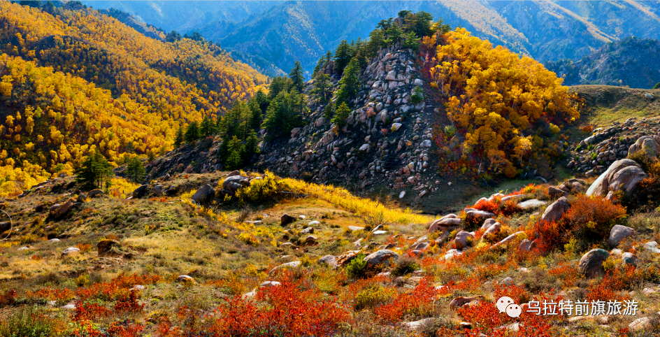 乌拉山自然保护区,位于乌拉特前旗境内的乌拉山段,南靠110国道和包兰