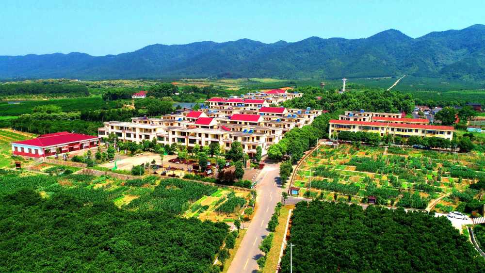 金坪民族乡新民村 曾双全 摄罗田镇泉井村 陈福平 摄来源:江西学习