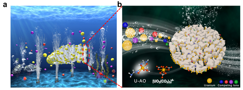 海水提铀|中科院上海应物所《JMCA》：海水提铀取得新进展！