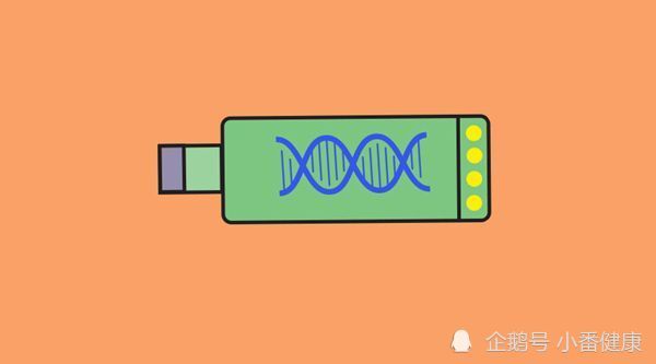 乙肝表面抗原|乙肝新药VIR-2218，体外泛基因效应，体内持久抗病毒活性
