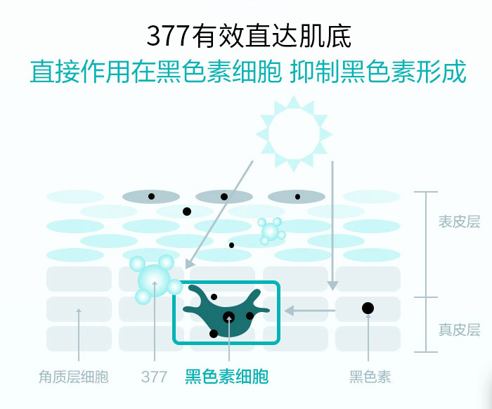 它的美白原理其实就是抑制黑色素生成"377"是目前最有效的酪氨酸酶