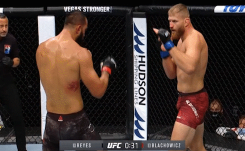 简·布拉乔维奇|金腰带|ko|雷耶斯|ufc