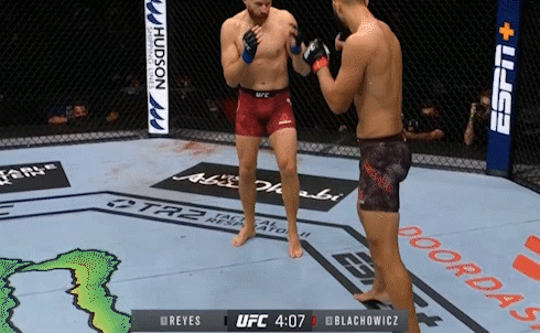 简·布拉乔维奇|金腰带|ko|雷耶斯|ufc