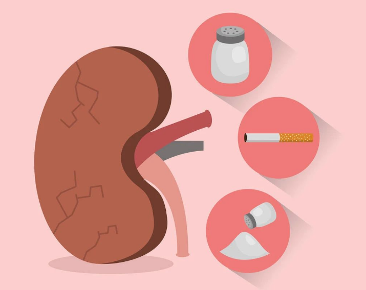 肾脏|肾有“四怕”，最好一个别做，强健肾脏，做好这六点，会慢慢变好