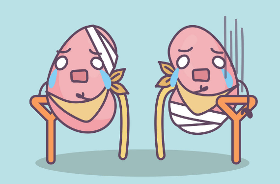 肾脏|肾有“四怕”，最好一个别做，强健肾脏，做好这六点，会慢慢变好