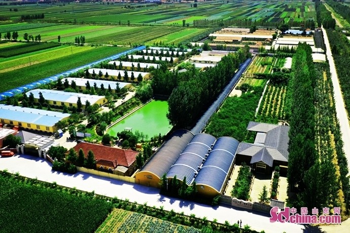 文化在左经济在右青岛平度市南村镇特色文旅赋能乡村振兴