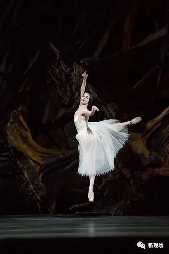 娜塔莉娅·奥西波娃|一见倾心，抵抗都是徒劳的