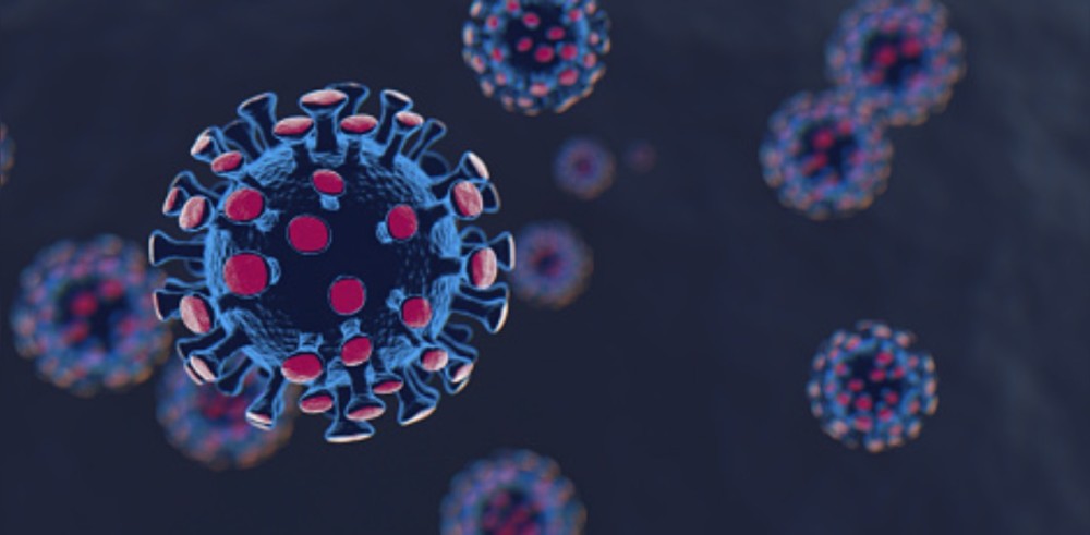 新冠病毒|研究显示印度境内新冠病毒主要来自英国迪拜游客