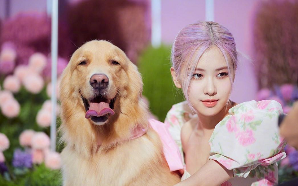 yg娱乐|YG公开10月艺人回归信息，是权志龙归来？还是朴彩英solo有眉目？