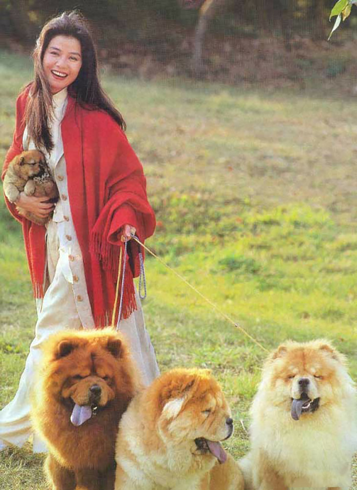 林心如|无法重拍的瞬间：脸上抹蛋糕的林心如，荡秋千的林青霞，瀑布下的张曼玉