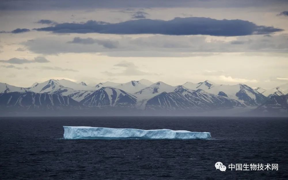 新冠病毒|“如果新冠病毒没有杀死我们，气候变化也会把我们杀死！”