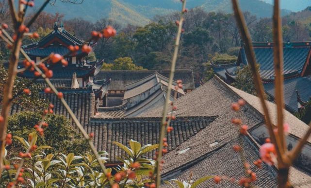 东南佛国宁波天童寺，千年来高僧云集，却被日本禅宗尊为祖庭？_腾讯新闻