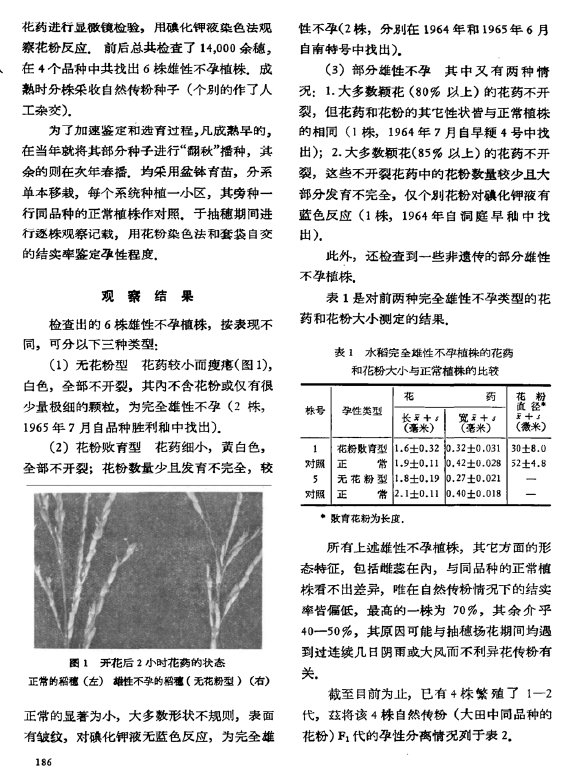 袁隆平水稻的雄性不孕性