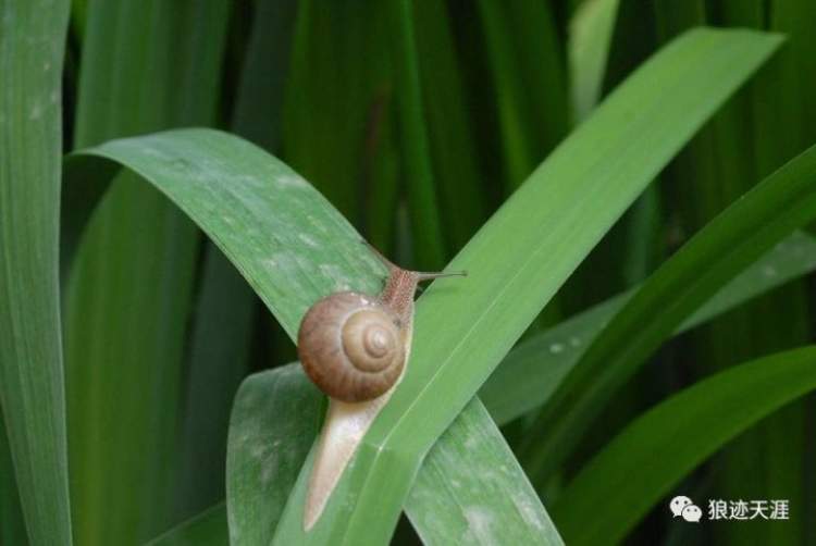 农历中国九月初三蛰虫坯户
