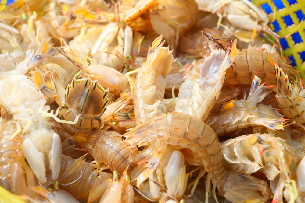 崂山区王哥庄街道:百年码头成旅游打卡地,蟹虾抢手渔民乐