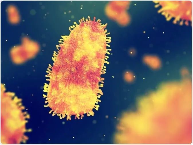 狂犬病毒|为什么狂犬病人会“恐水”？狂犬病一旦发病就必死无疑吗？