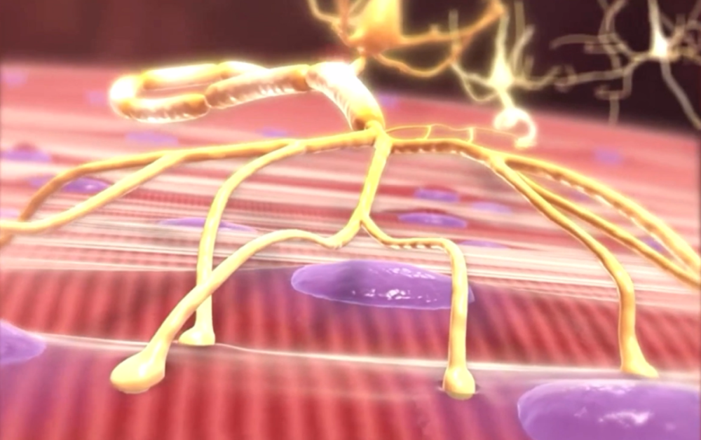 狂犬病毒|为什么狂犬病人会“恐水”？狂犬病一旦发病就必死无疑吗？