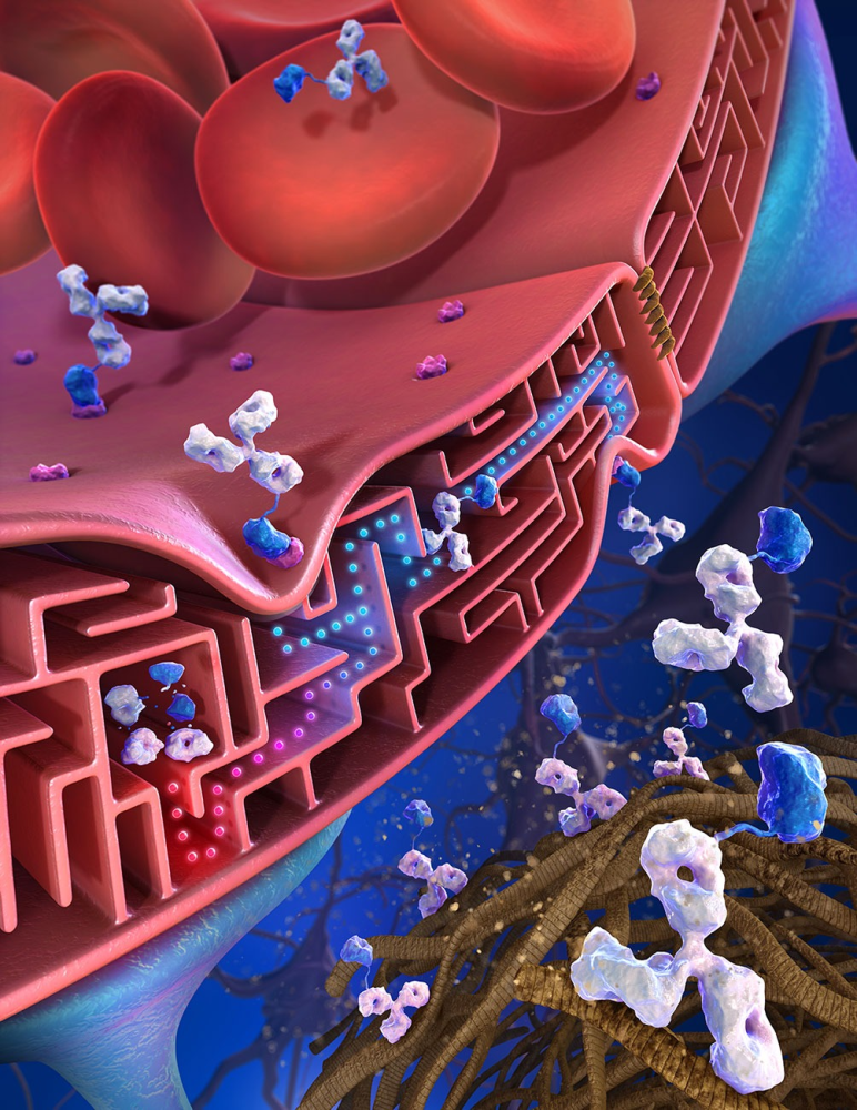 狂犬病毒|为什么狂犬病人会“恐水”？狂犬病一旦发病就必死无疑吗？